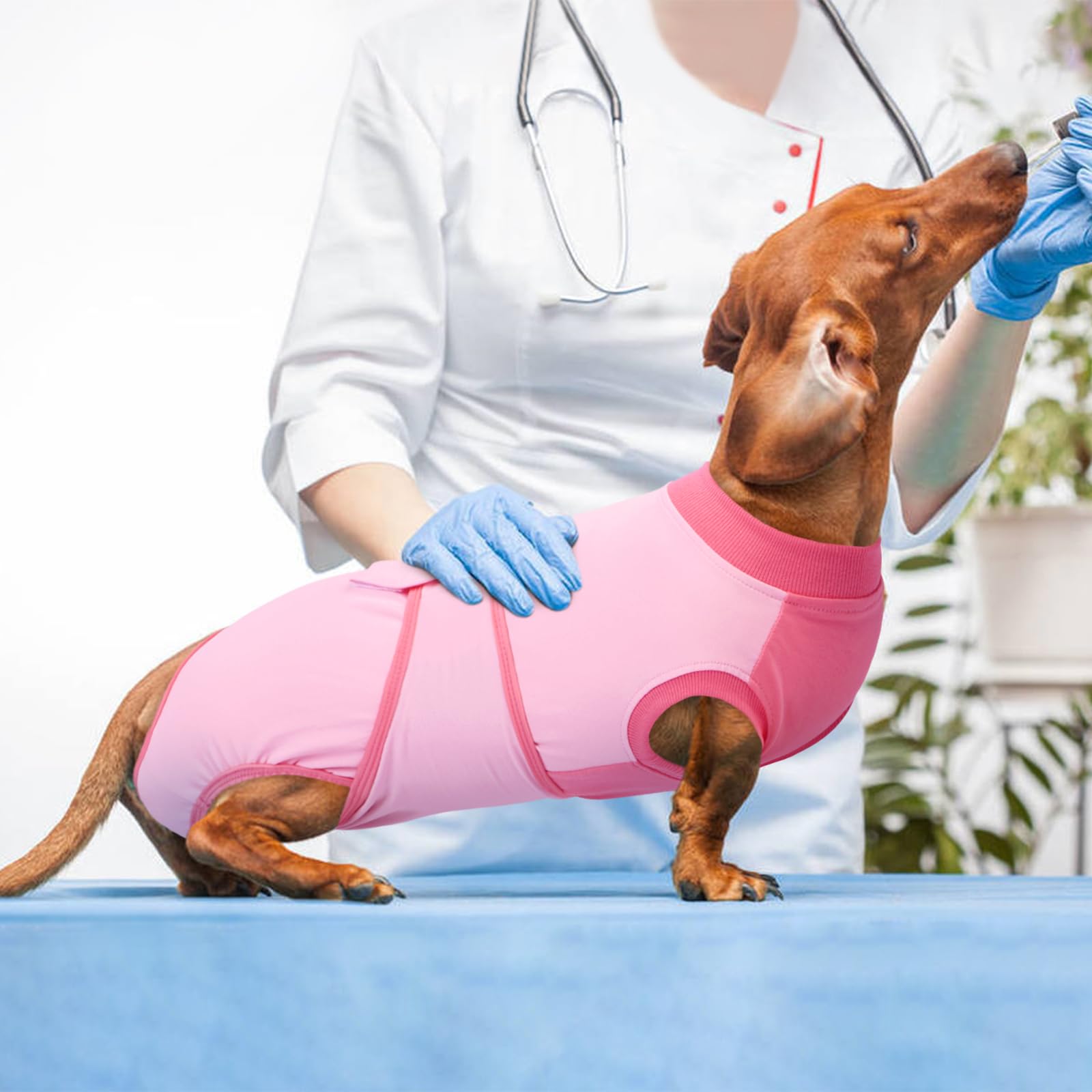Kuoser couleur rose taille S, élégante et confortable pour chien