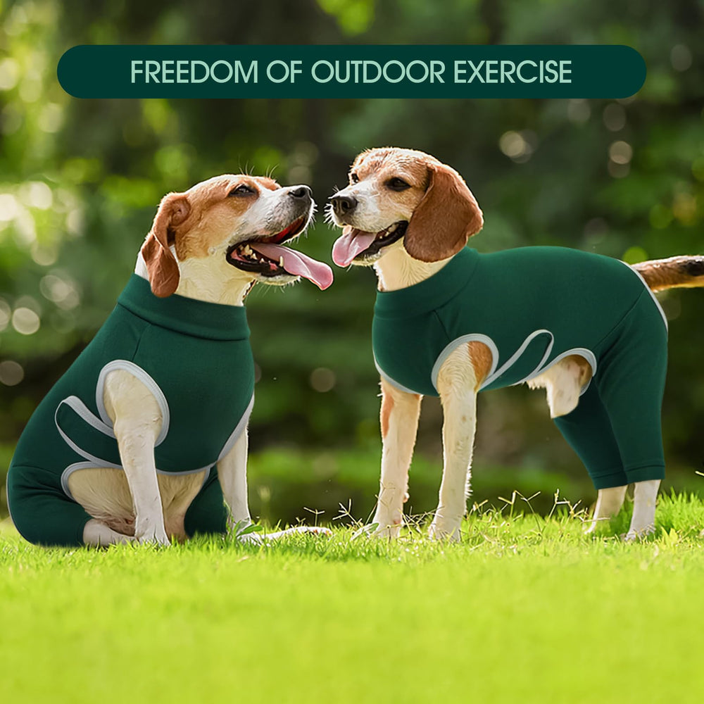 Kuoser combinaison vert chien: vêtement pratique et élégant après chirurgie