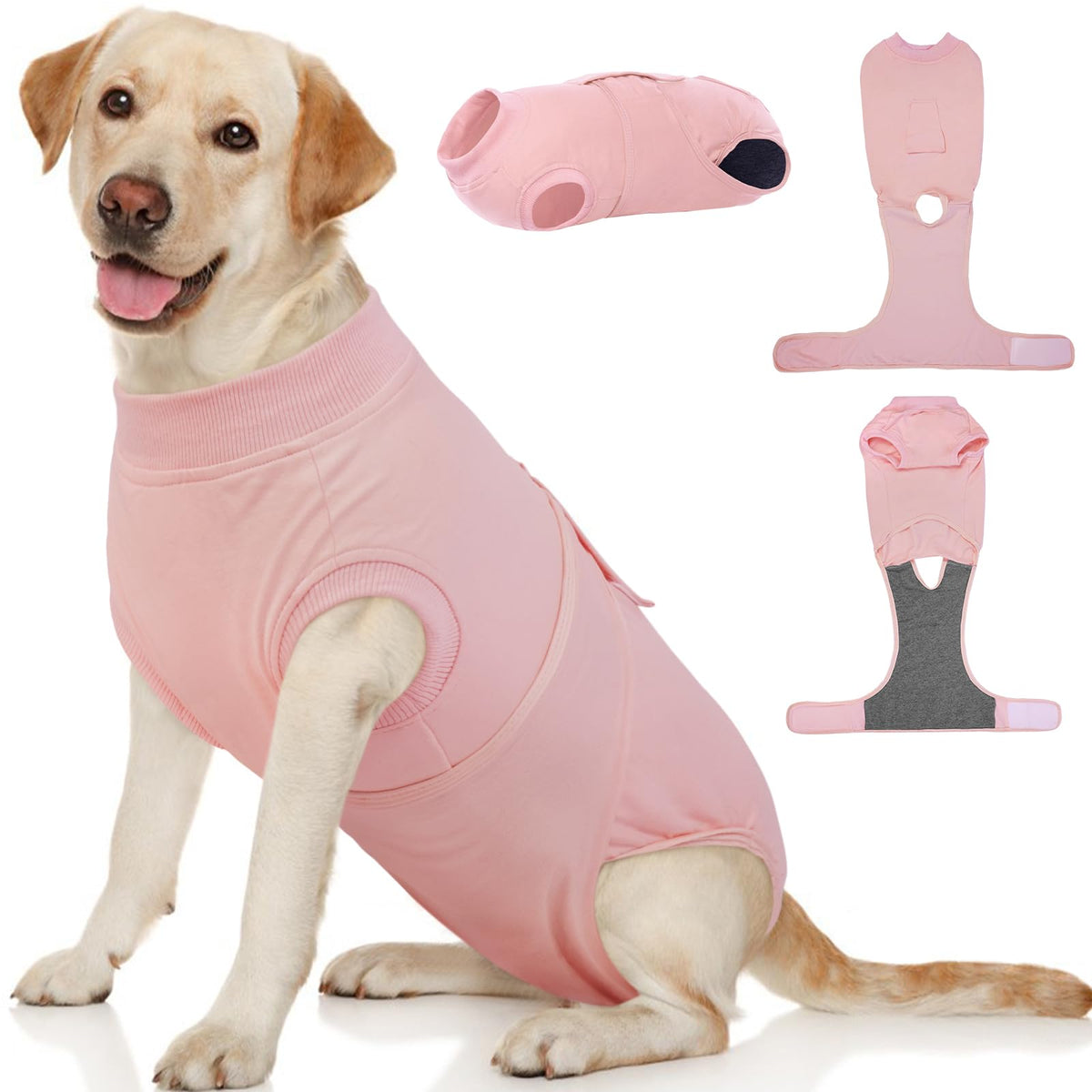 Kuoser, combinaison récupération chien après chirurgie, tissu doux et respirant.