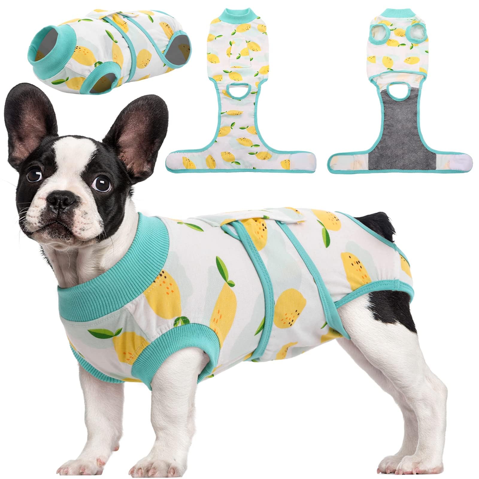 Kuoser combinaison rétablissement chien, confort et mobilité pendant récupération.