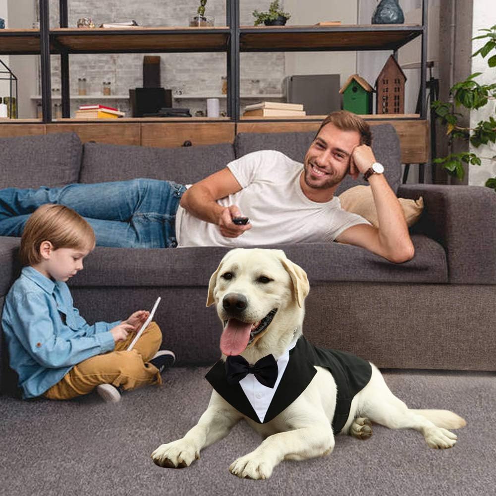 Costume Kuoser pour chien en mariage, prêt pour cérémonie et portraits.
