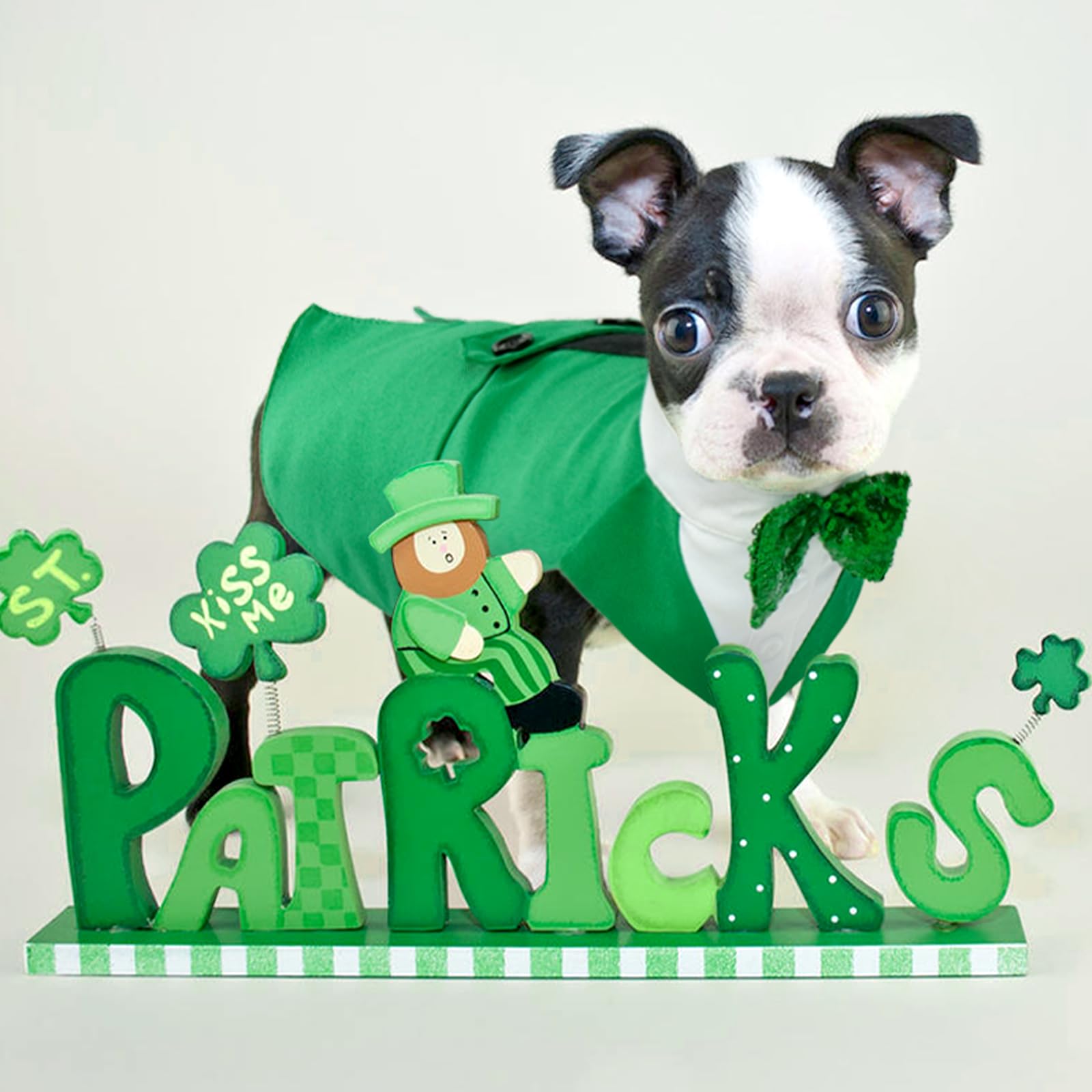 Costume vert Kuoser pour chien Saint-Patrick, parfait pour fêtes et sorties.