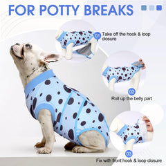 Kuoser Design Brevete Vetement Chien bleu a pois, design pratique et confortable