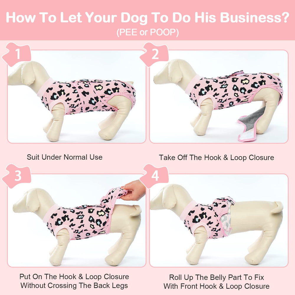 Kuoser tenue de récupération pour chien, usage intérieur et extérieur en contexte.