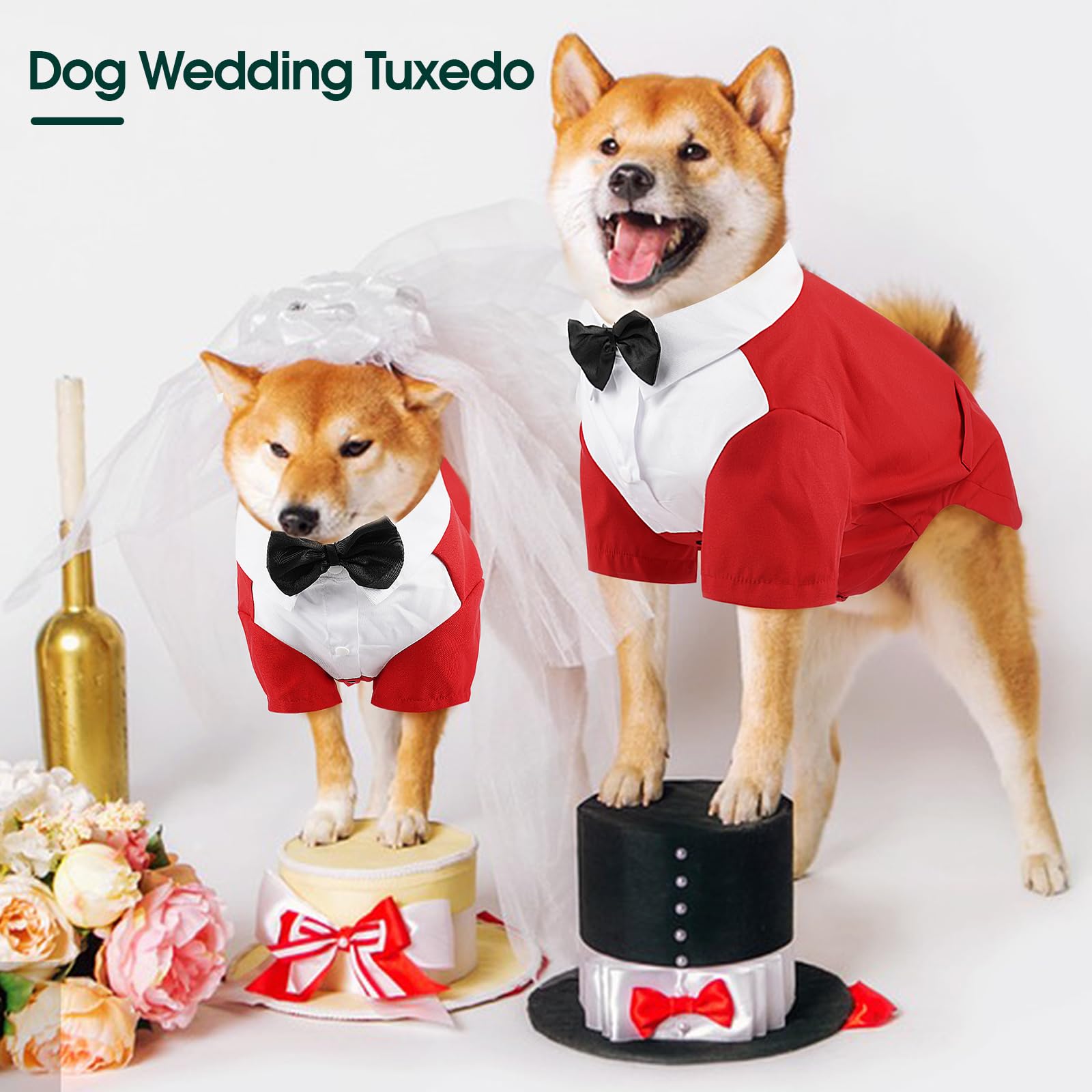 Ensemble 2 pièces Kuoser: tuxedo et noeud papillon pour événements.