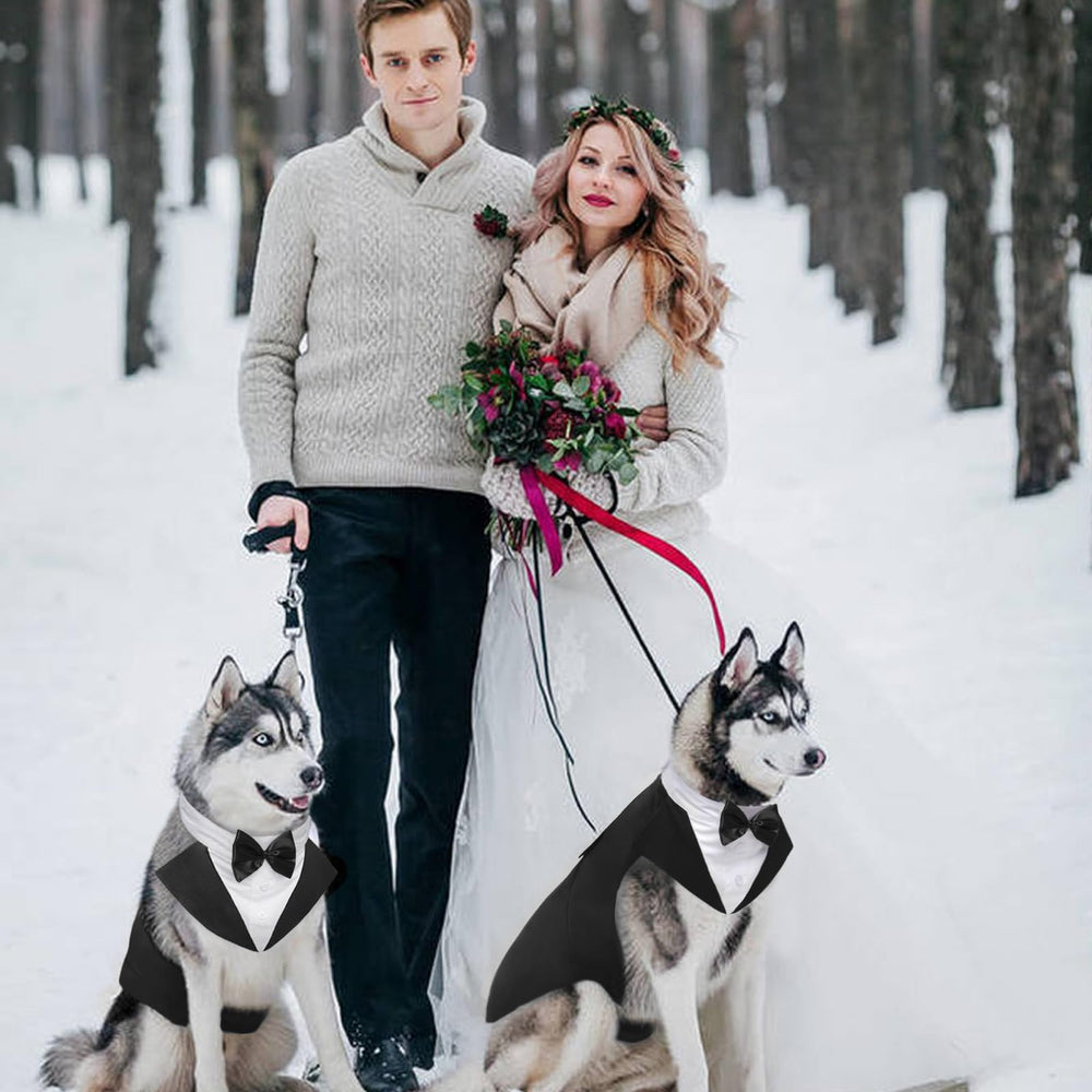 Kuoser ensemble mariage chien, parfait pour photos et cérémonies mémorables.