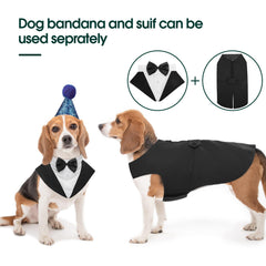 Fermeture velcro Kuoser sur le tuxedo pour chien, mise en place rapide.