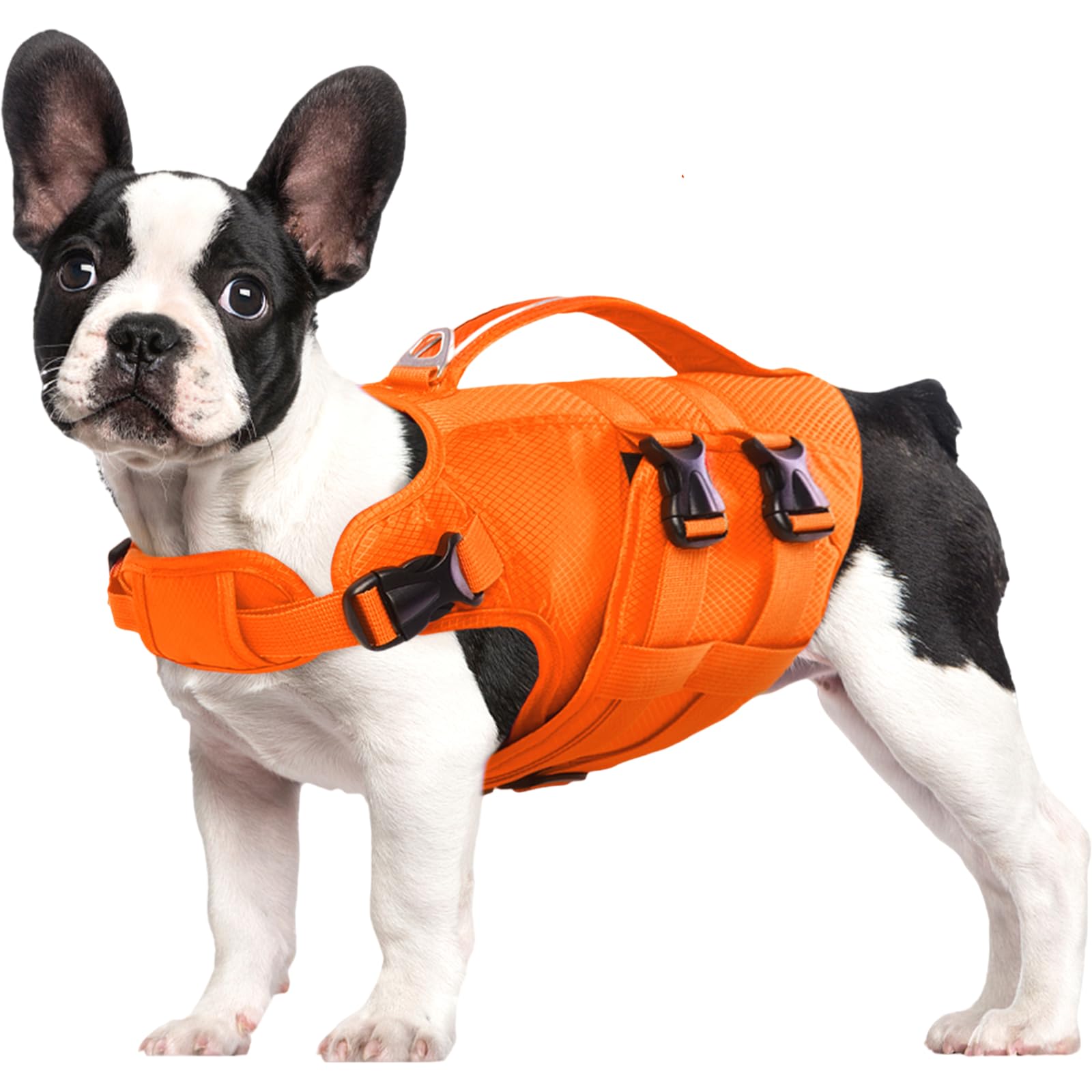 Kuoser gilet de natation chien vue avant, confort et flottabilité optimisée