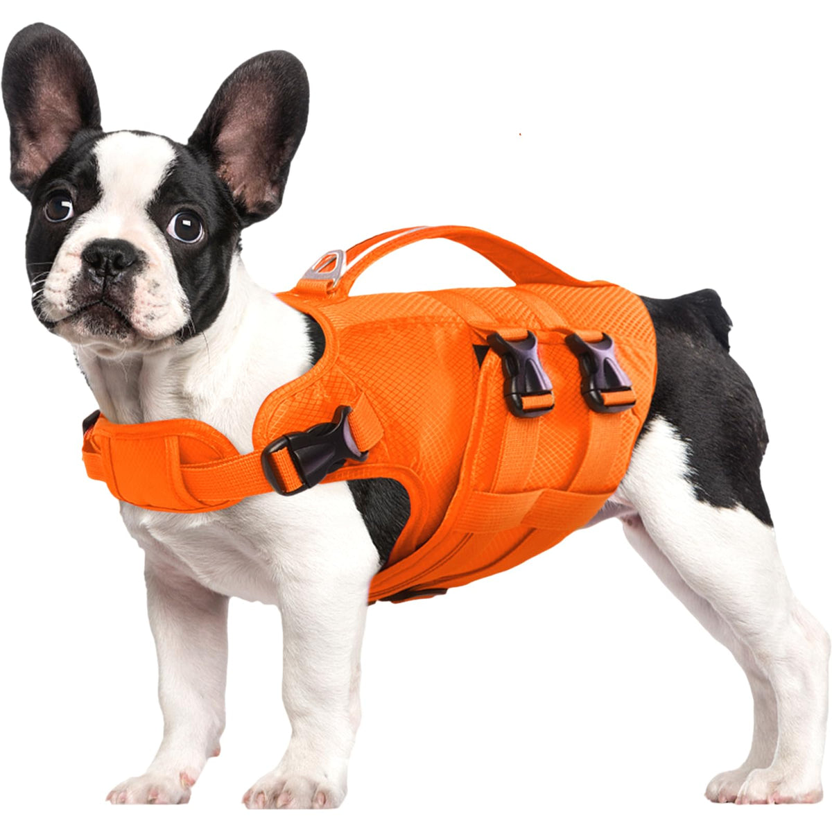 Kuoser gilet de natation chien vue avant, confort et flottabilité optimisée