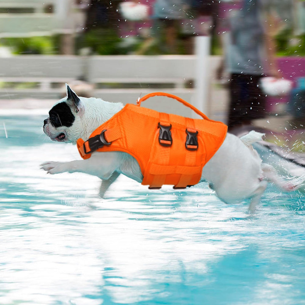Kuoser gilet chien guide des tailles pour un ajustement sûr