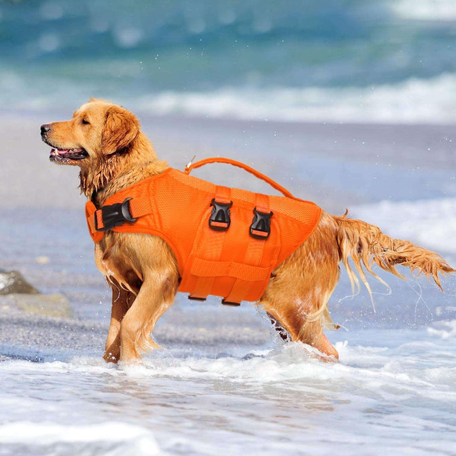 Kuoser gilet chien tissu oxford et mousse pour flotter librement
