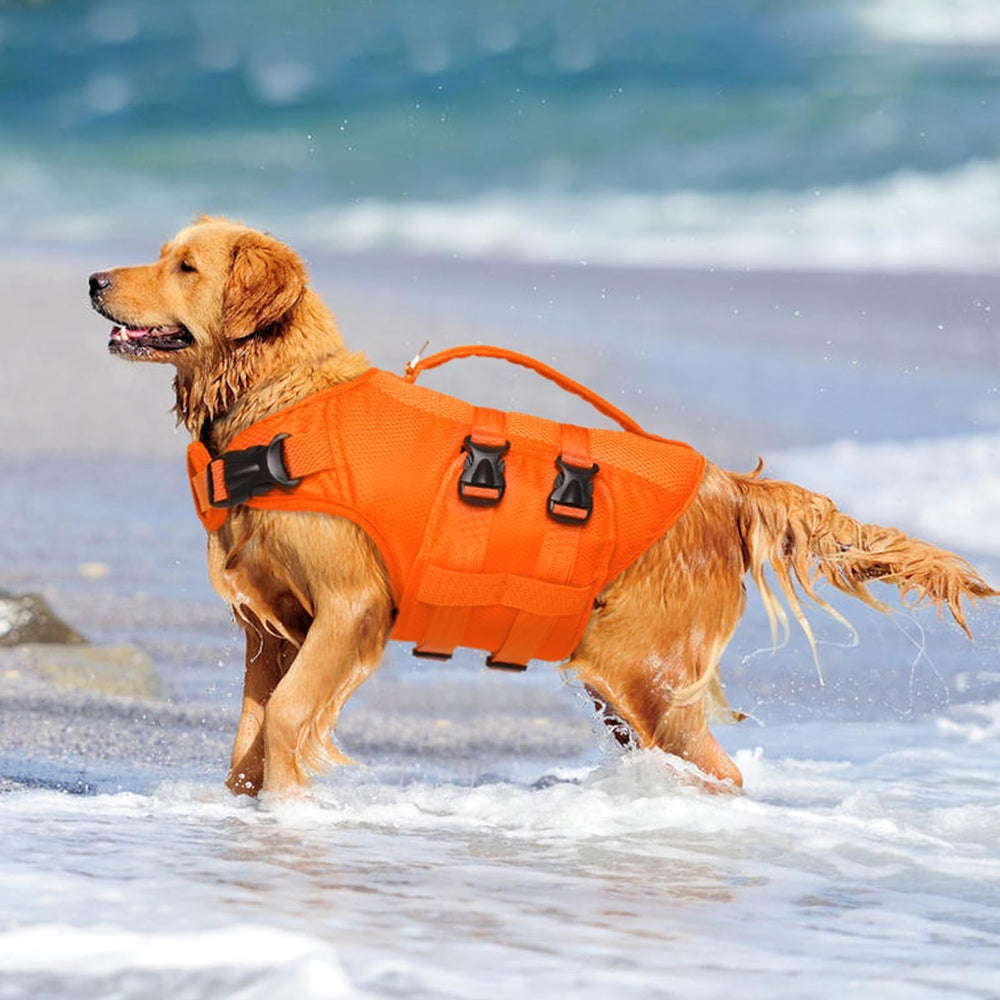 Kuoser gilet chien tissu oxford et mousse pour flotter librement