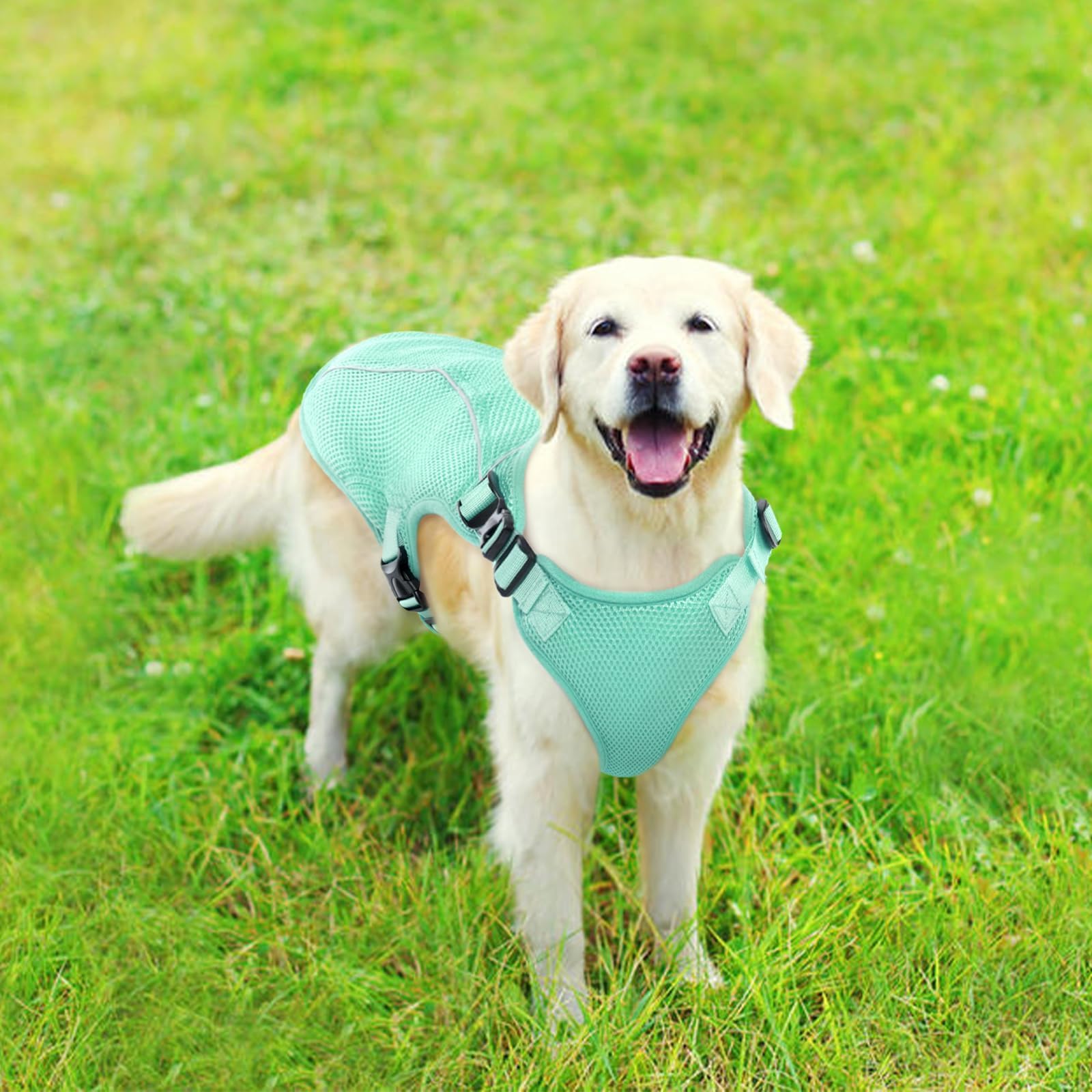 Kuoser gilet-dos-mobilite — design respecte la mobilité du chien.