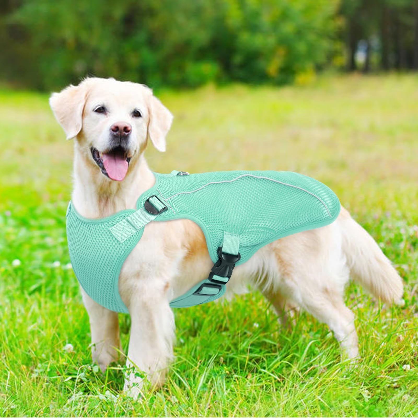 Kuoser gilet-exterieur-utilisation — idéal pour sorties chaudes et balades.