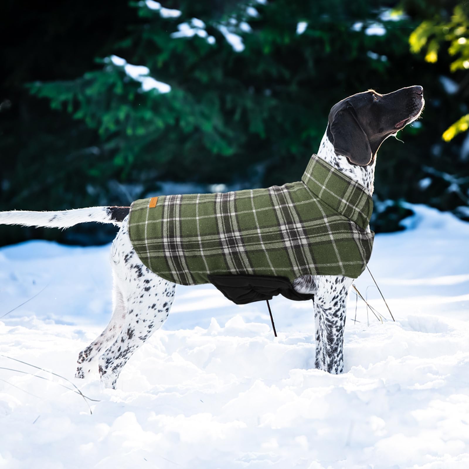 Kuoser gilet chien motif plaid britannique - style intemporel pour sorties quotidiennes.
