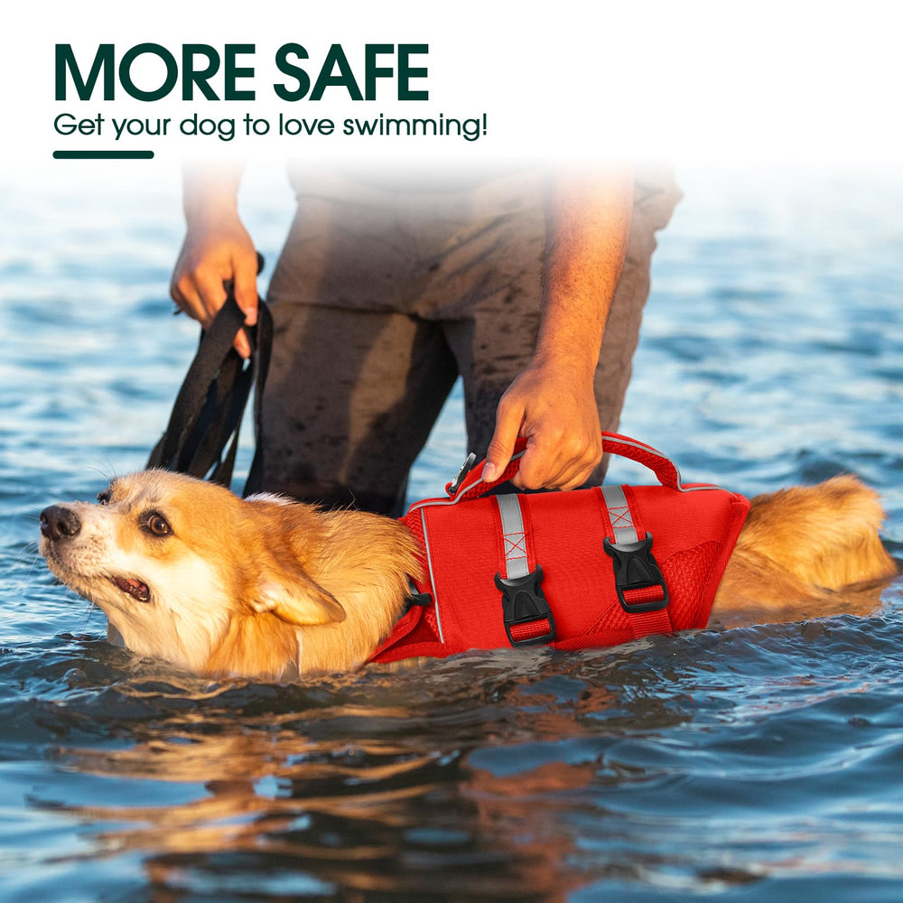 Kuoser gilet chien tailles ajustables XS à XXL, convient à tous les chiens.