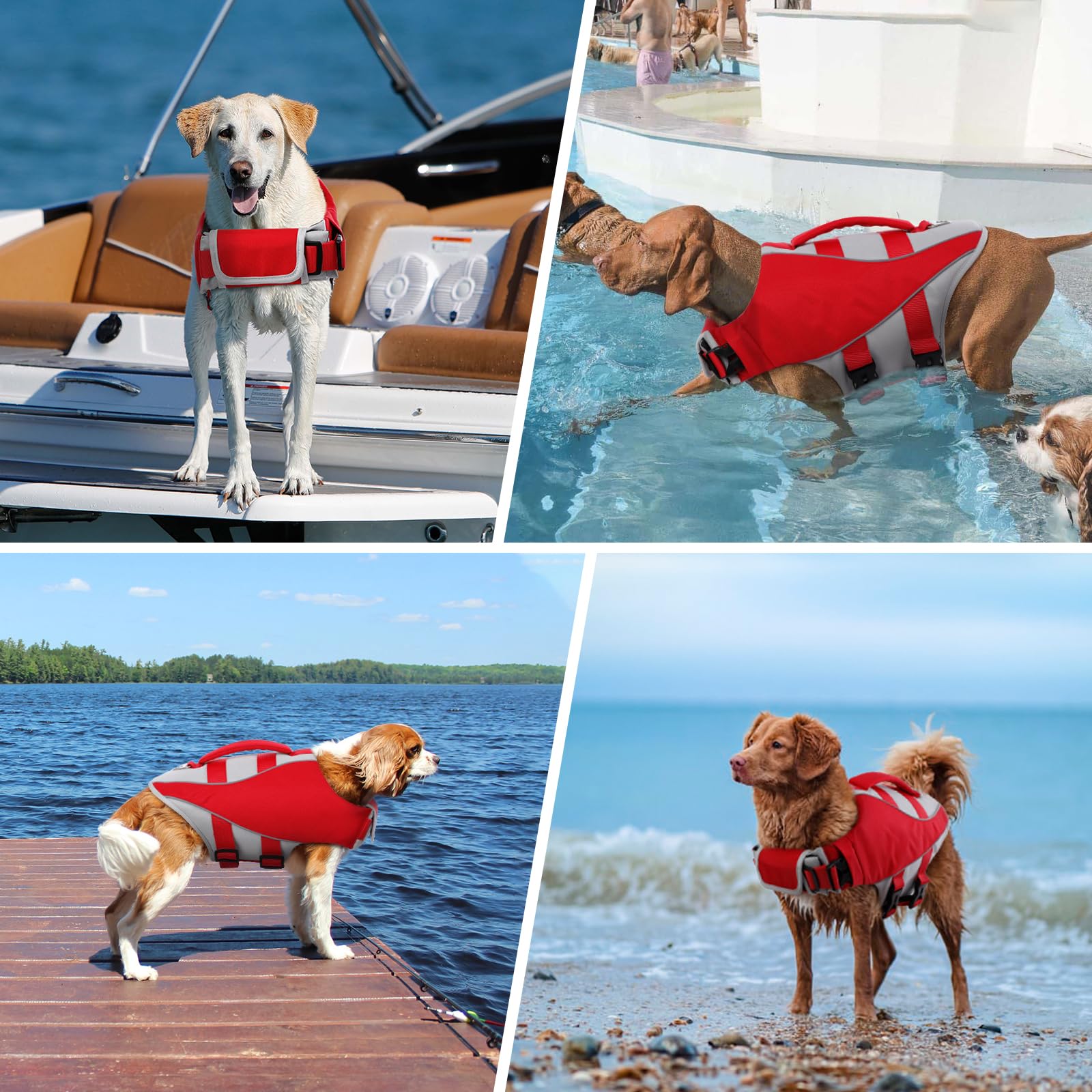Kuoser gilet-chien-usage-plein-air; visibilité et sécurité accrues