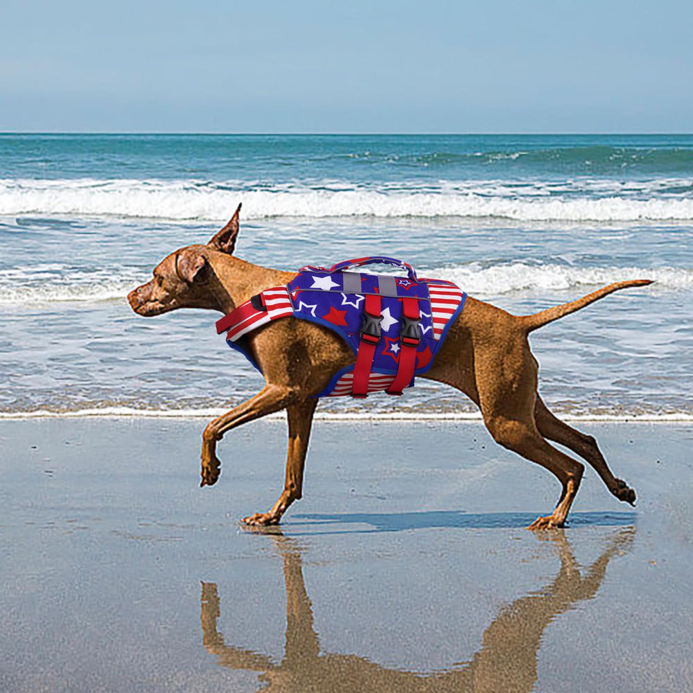 Kuoser XXL gilet de vie chien avec anneau d’attache pour laisse.