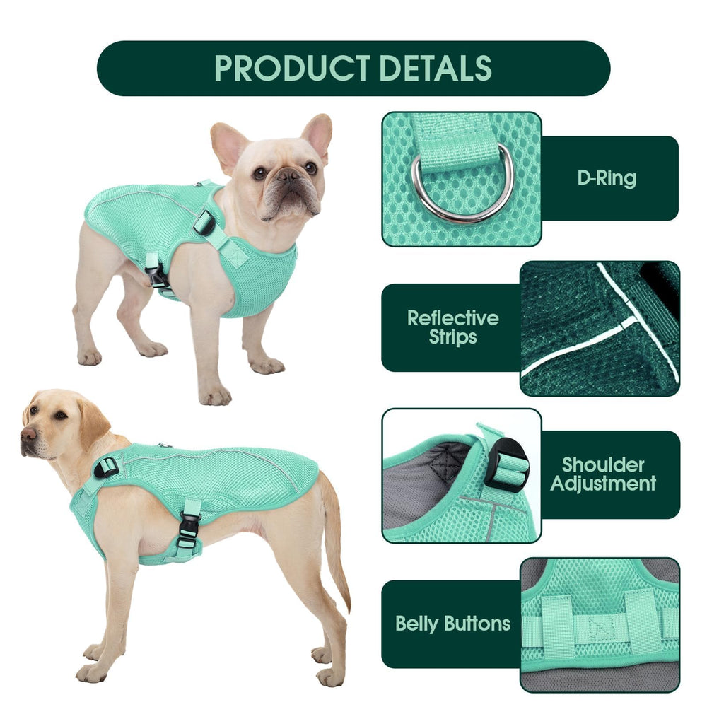 Kuoser gilet-reflechissant-chien — porté, bandes réfléchissantes pour plus de visibilité nocturne.