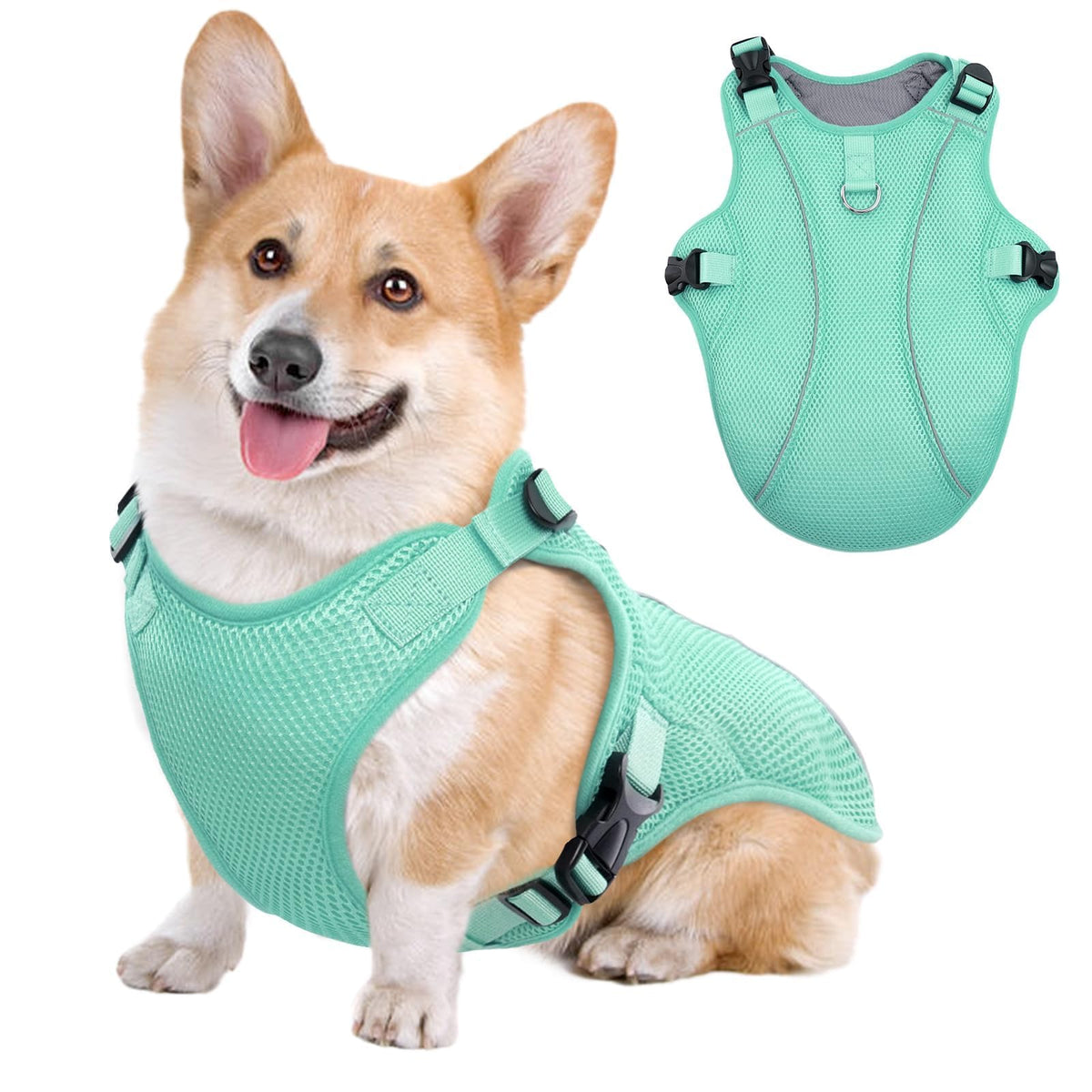 Kuoser gilet-refroidissant-chien — vue avant, pour rester au frais lors des sorties.