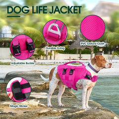 Kuoser Gilet sauvetage chien attache D-ring et sécurité