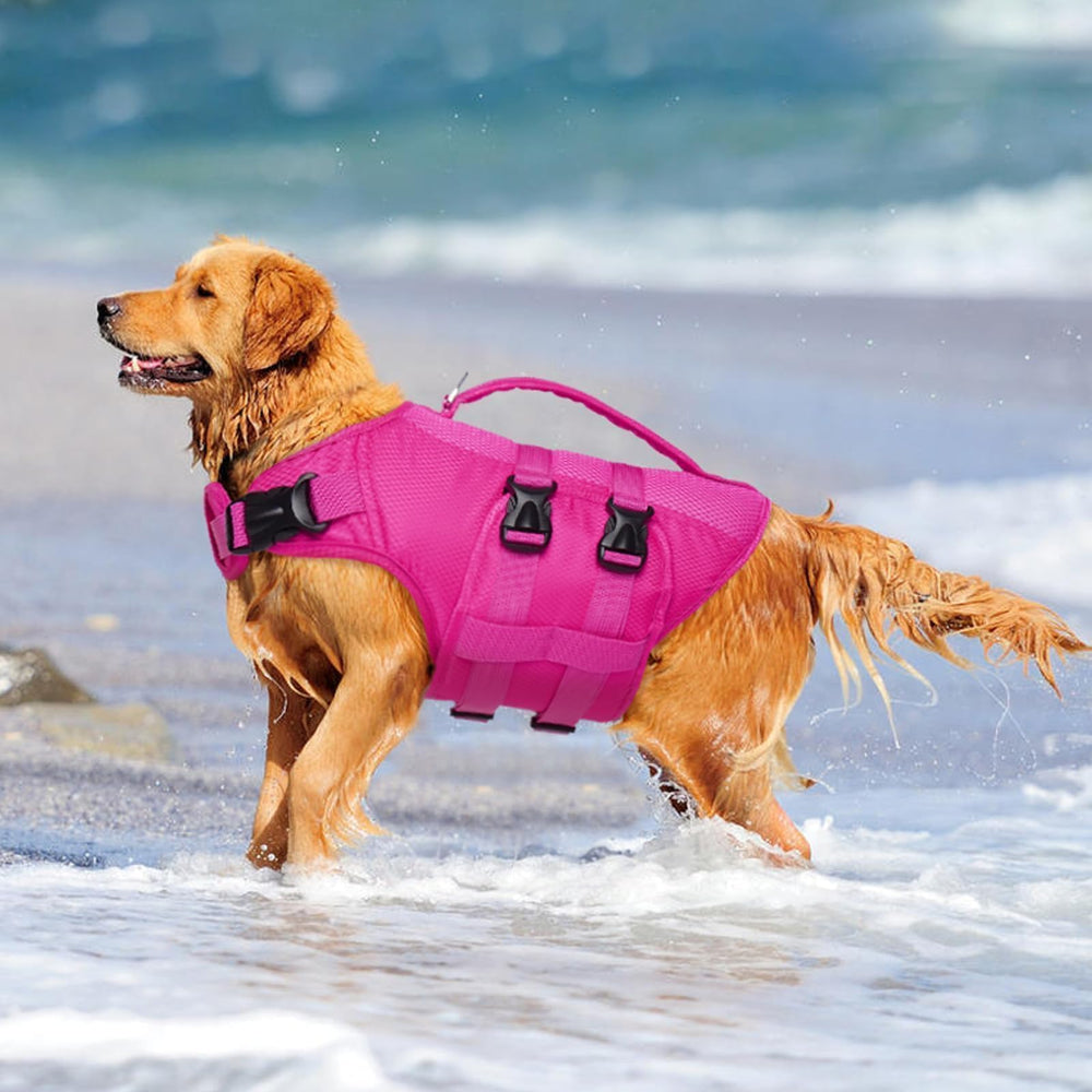 Kuoser Gilet sauvetage chien mousse haute densité pour flottabilité