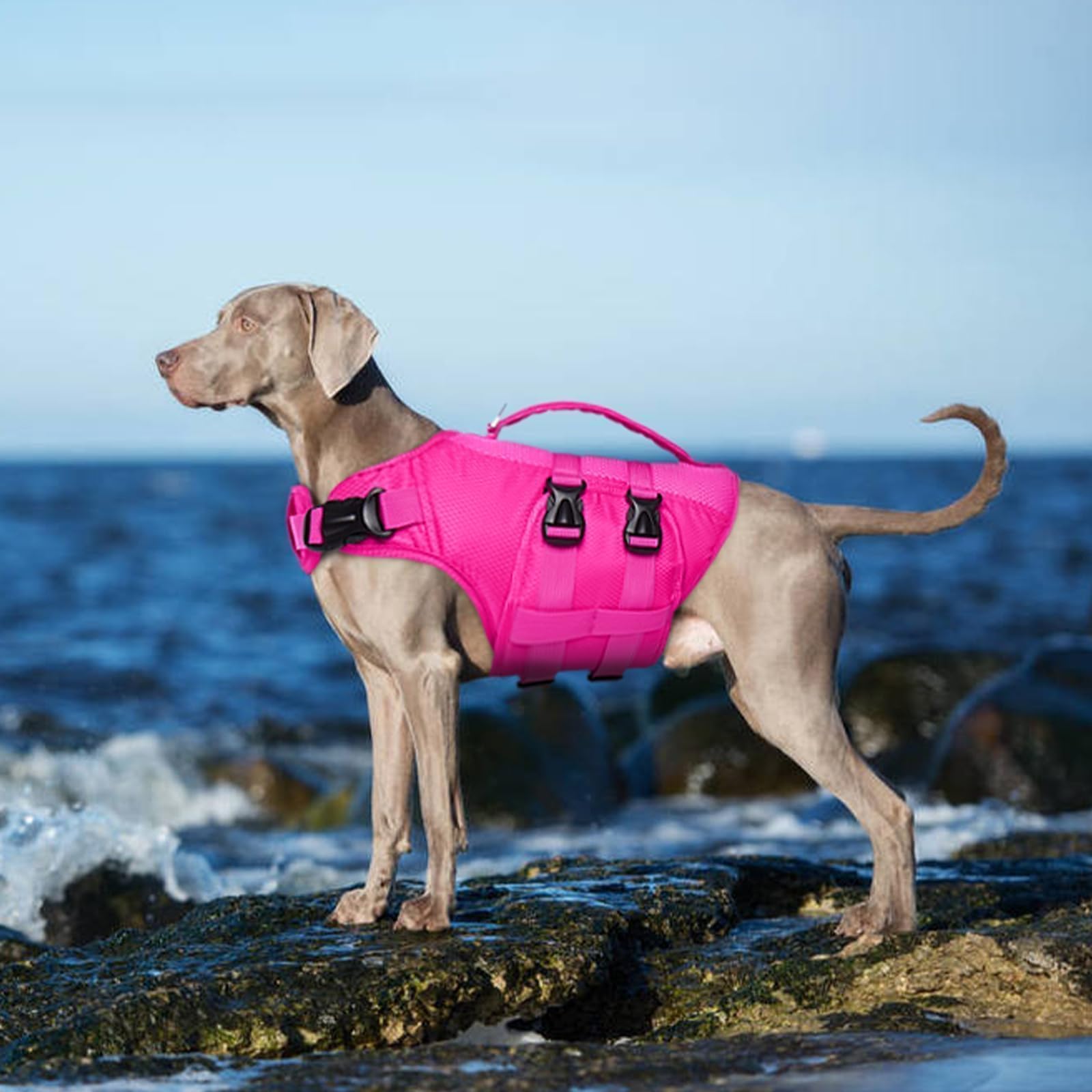 Kuoser Gilet sauvetage chien tissu oxford et nylon résistants