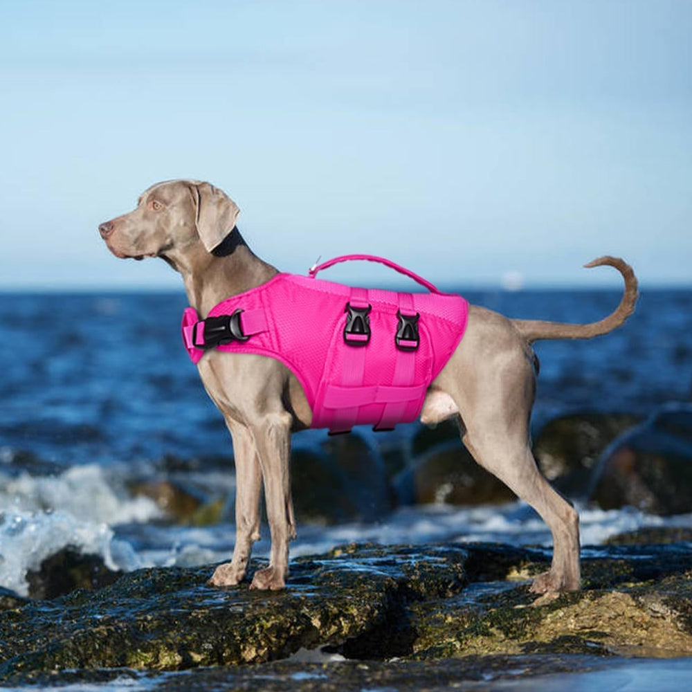 Kuoser Gilet sauvetage chien tissu oxford et nylon résistants