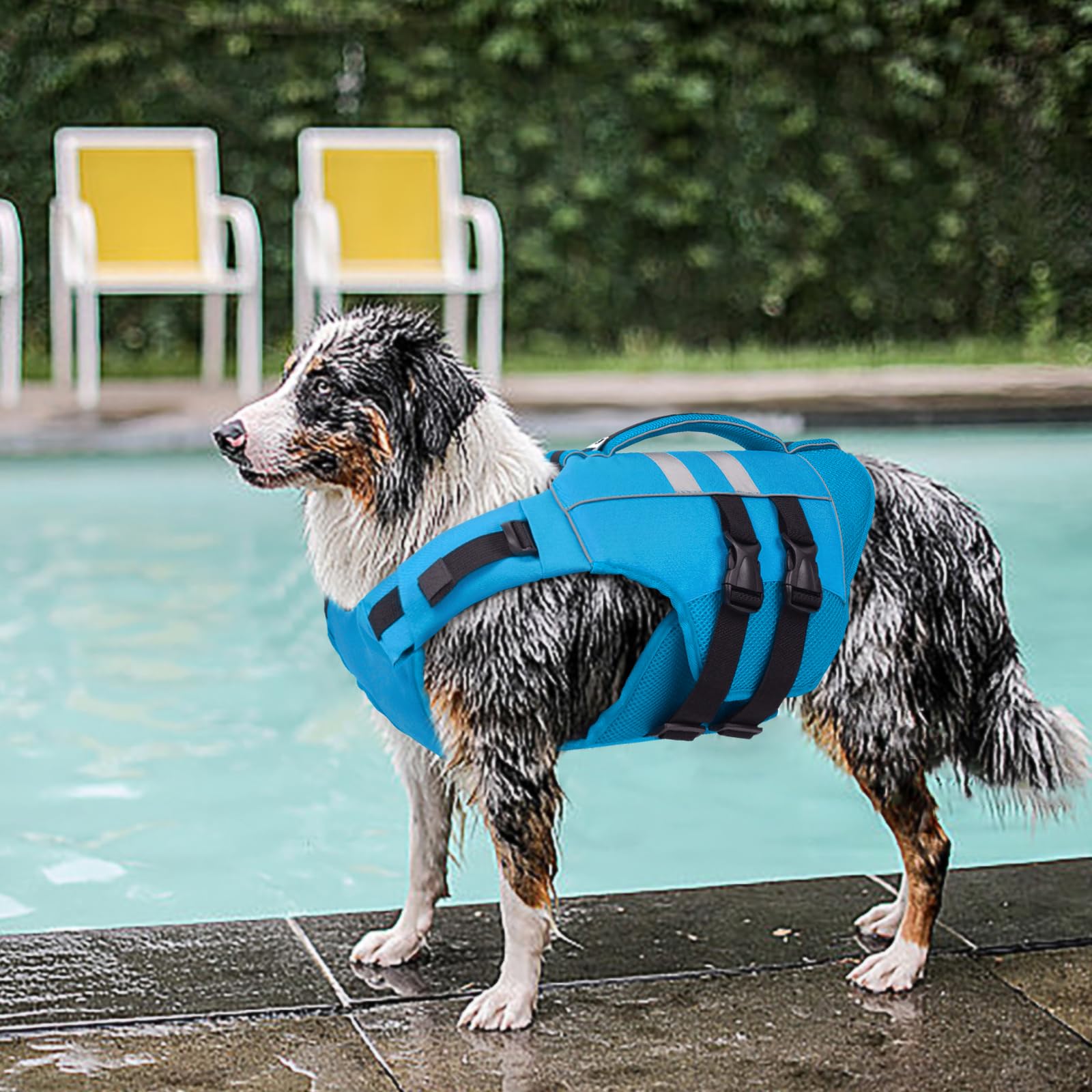 Kuoser gilet sauvetage chien XXL, mousse flottante douce lors du mouvement.