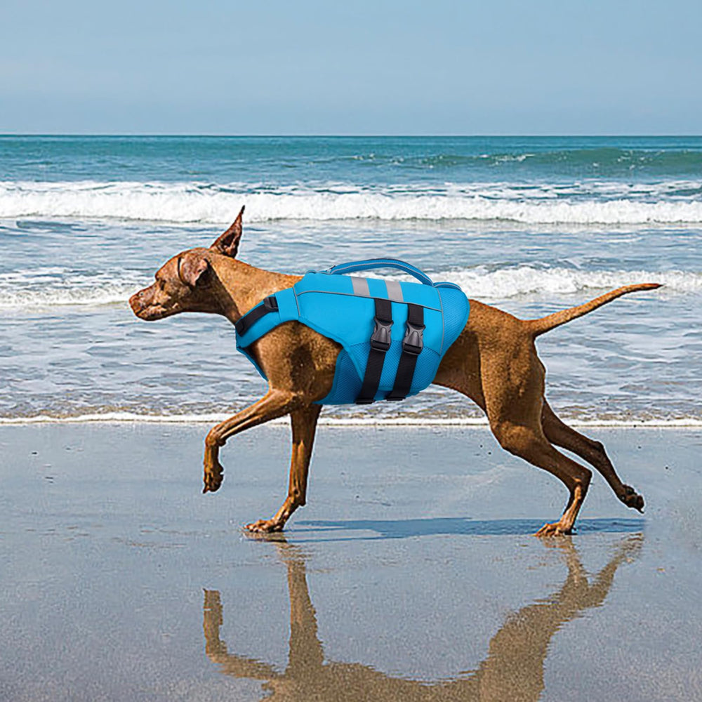 Kuoser gilet sauvetage chien XXL, bande réfléchissante pour meilleure visibilité.