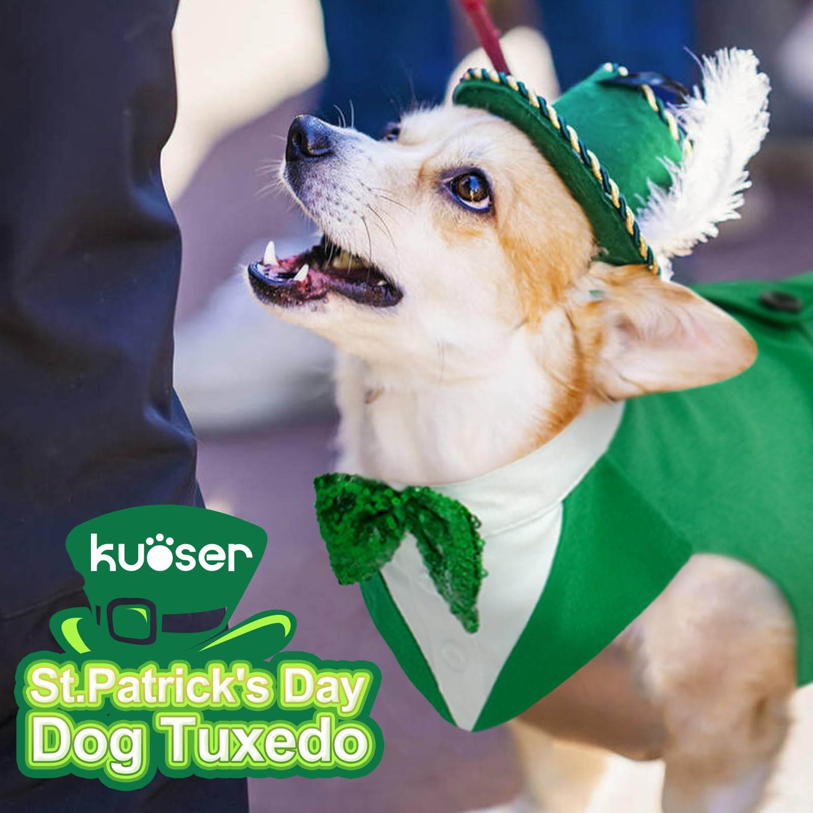 Guide tailles Kuoser: choisir entre S à 2XL pour chiens moyens et grands.