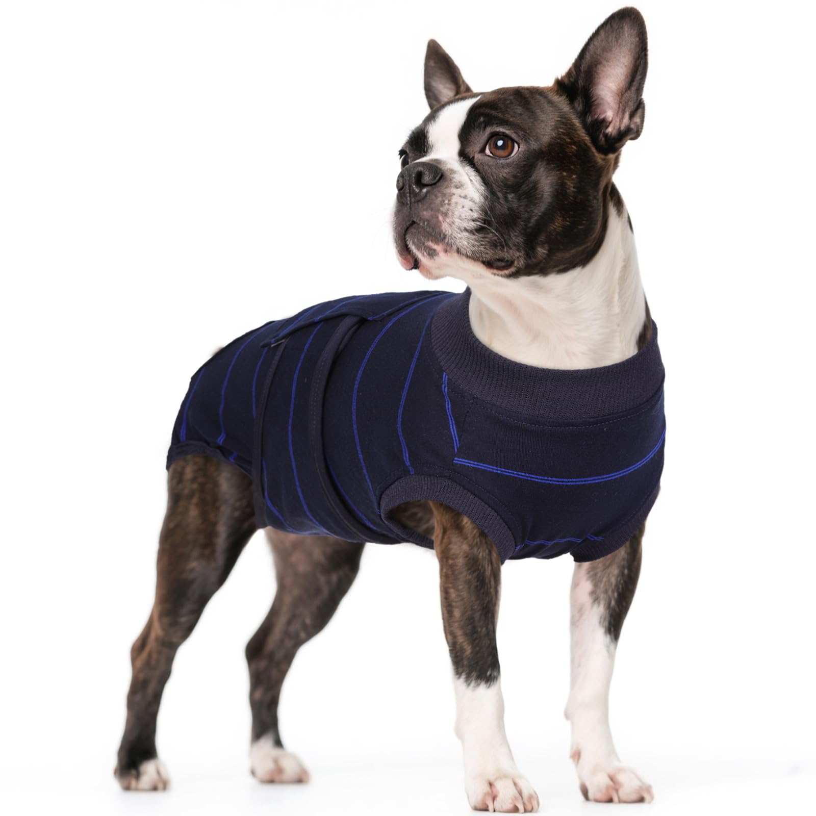 Kuoser habillage chien bleu rayures, protection douce et ajustement confortable.