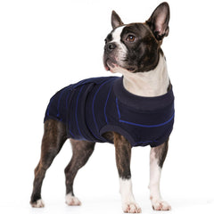 Kuoser habillage chien bleu rayures, protection douce et ajustement confortable.