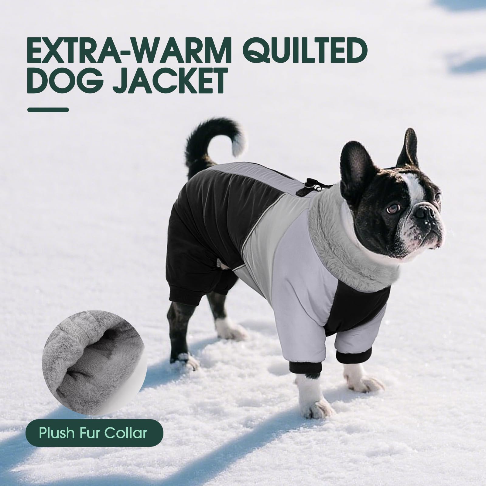 Manteau Kuoser avec deux anneaux en D pour une connexion sécurisée.