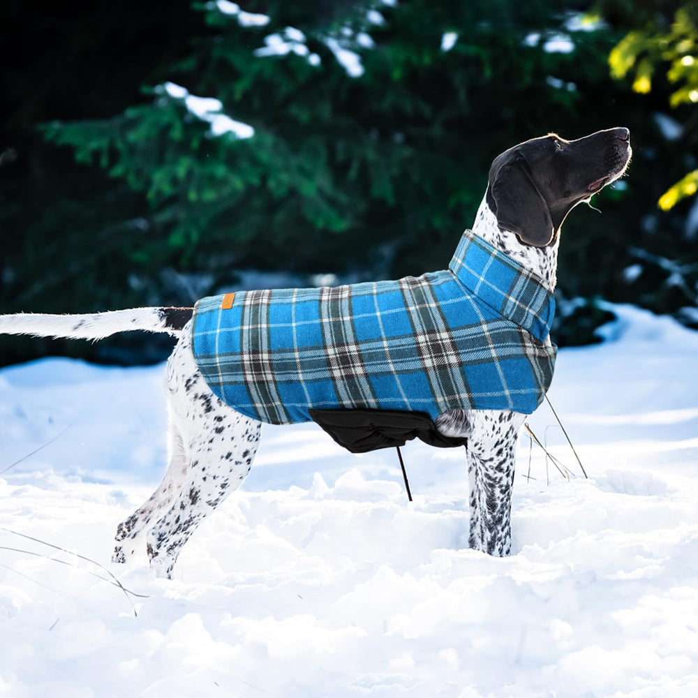 Kuoser manteau chien attaches autocollantes faciles à régler