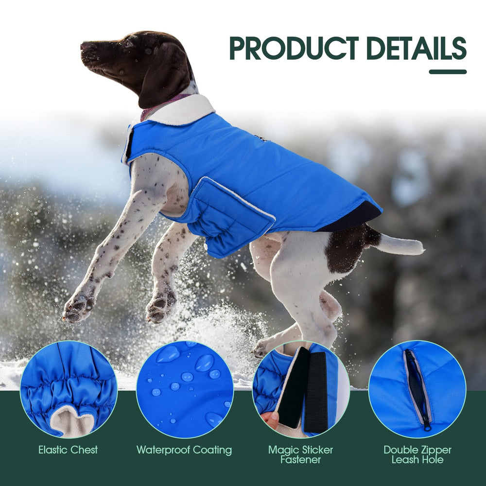 Kuoser manteau chien bleu 2XL — fermeture éclair fiable pour enfilage rapide