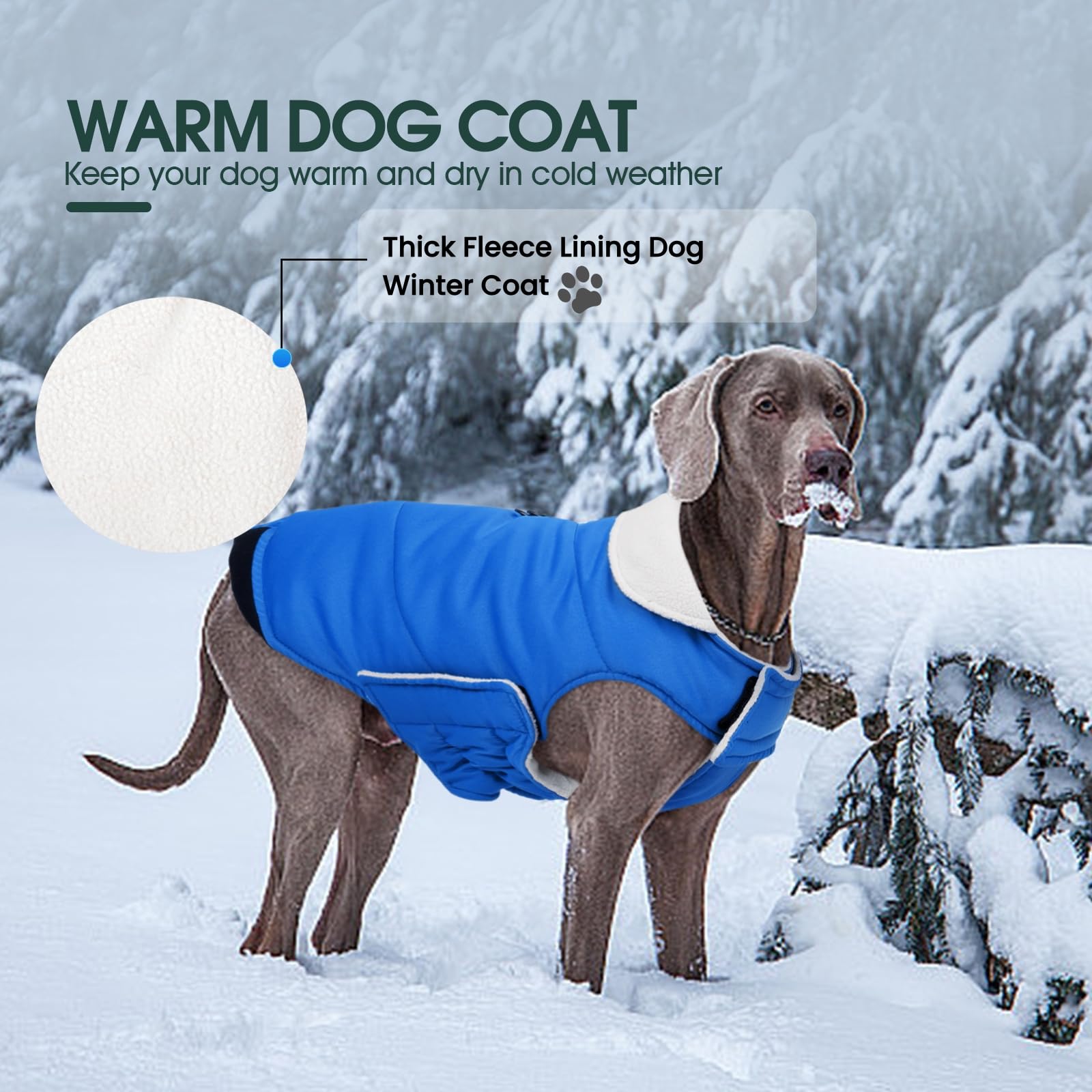 Kuoser manteau chien bleu 2XL — ouverture pour harnais sans perte de chaleur