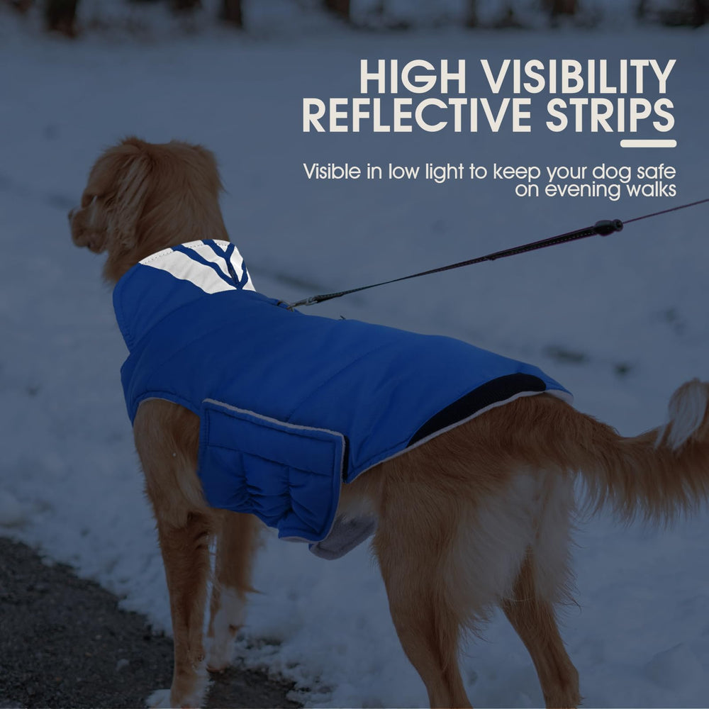 Kuoser manteau chien bleu 2XL — détails réfléchissants pour meilleure visibilité nocturne