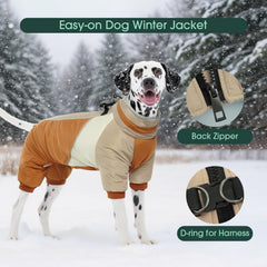 Kuoser manteau-chien-boucles-doubles-attache-laisse garantit une sécurité renforcée pendant les sorties.