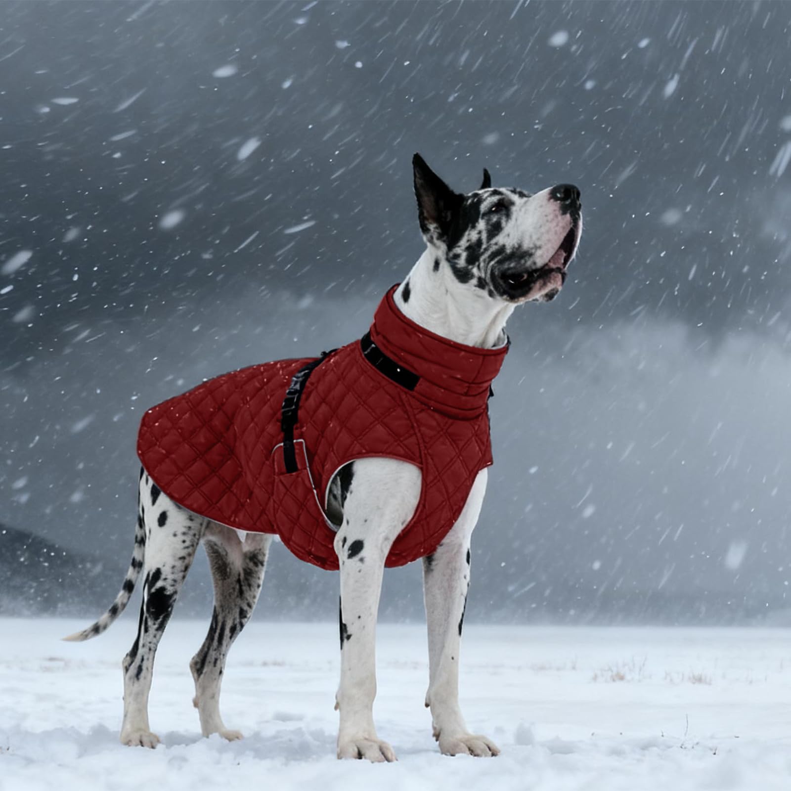 Kuoser manteau chien couleur rouge XL visible et tendance