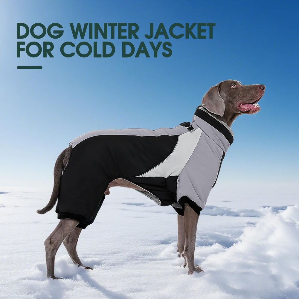 Kuoser manteau-chien-doubles-attaches-lacets: fixation solide au harnais et au collier.