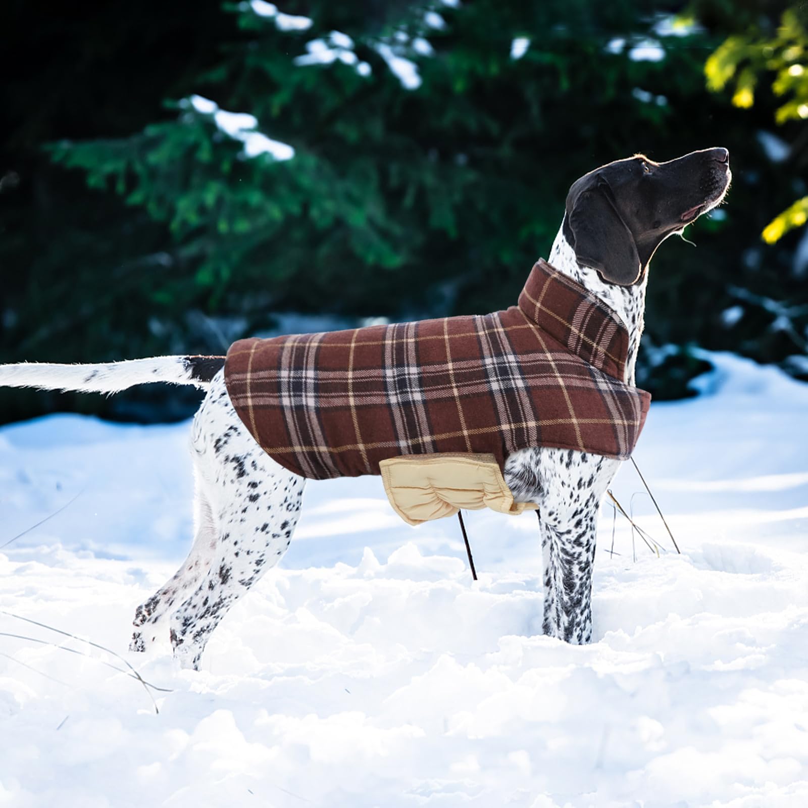 Kuoser Manteau Elastic Poitrine — liberté de mouvement optimisée.