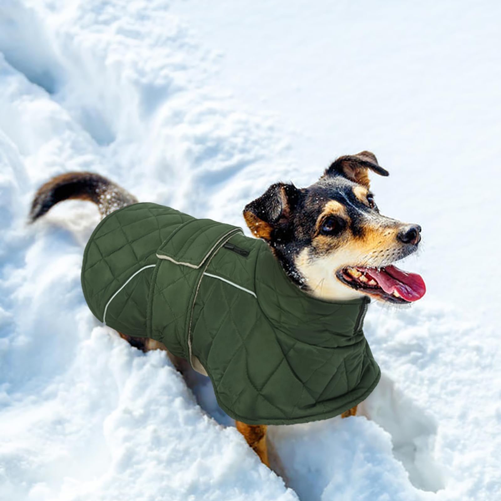 Kuoser Manteau Chien Thermique – enfiler et retirer facilement pour faciliter les promenades.