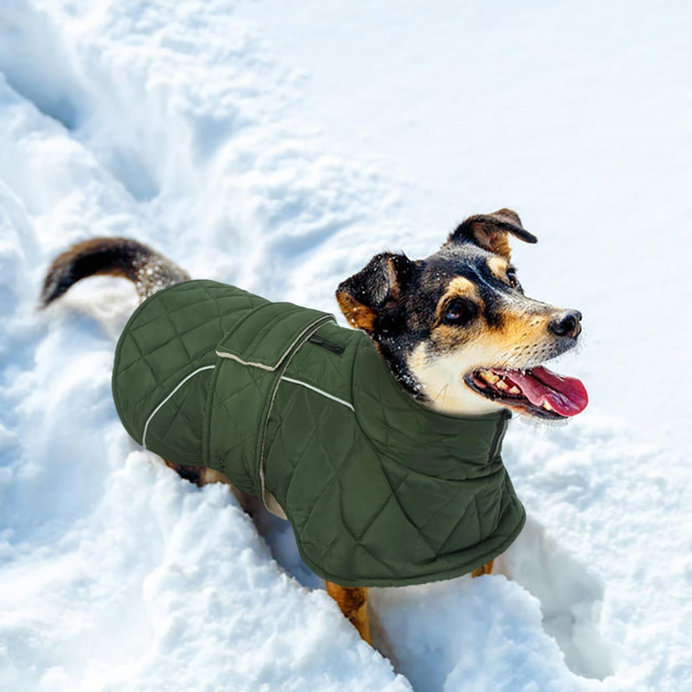 Kuoser Manteau Chien Thermique – enfiler et retirer facilement pour faciliter les promenades.