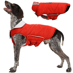 Manteau Kuoser pour chien grand, vue avant, imperméable et réfléchissant pour sorties hivernales.