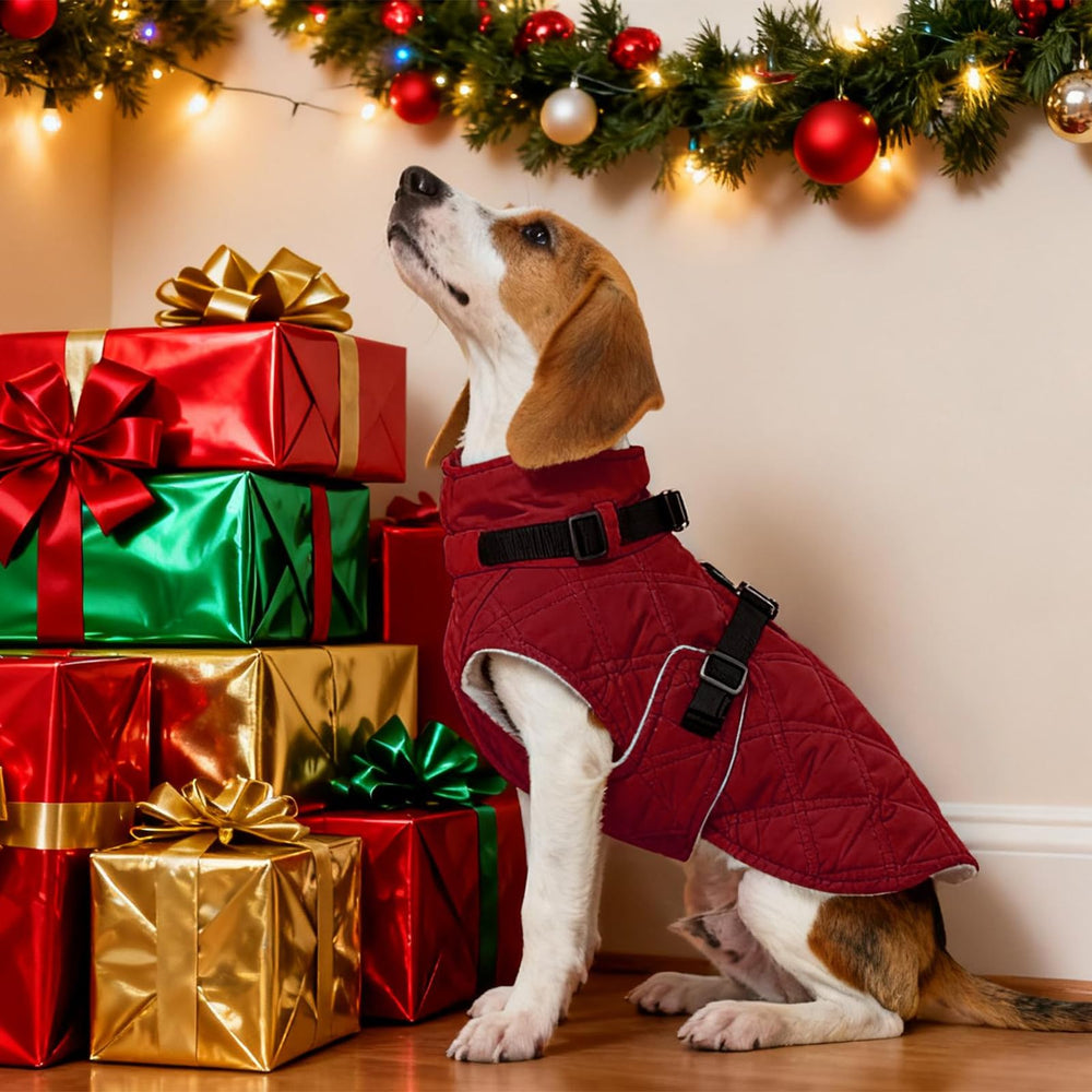 Kuoser manteau chien adapté aux grandes races et aux promenades