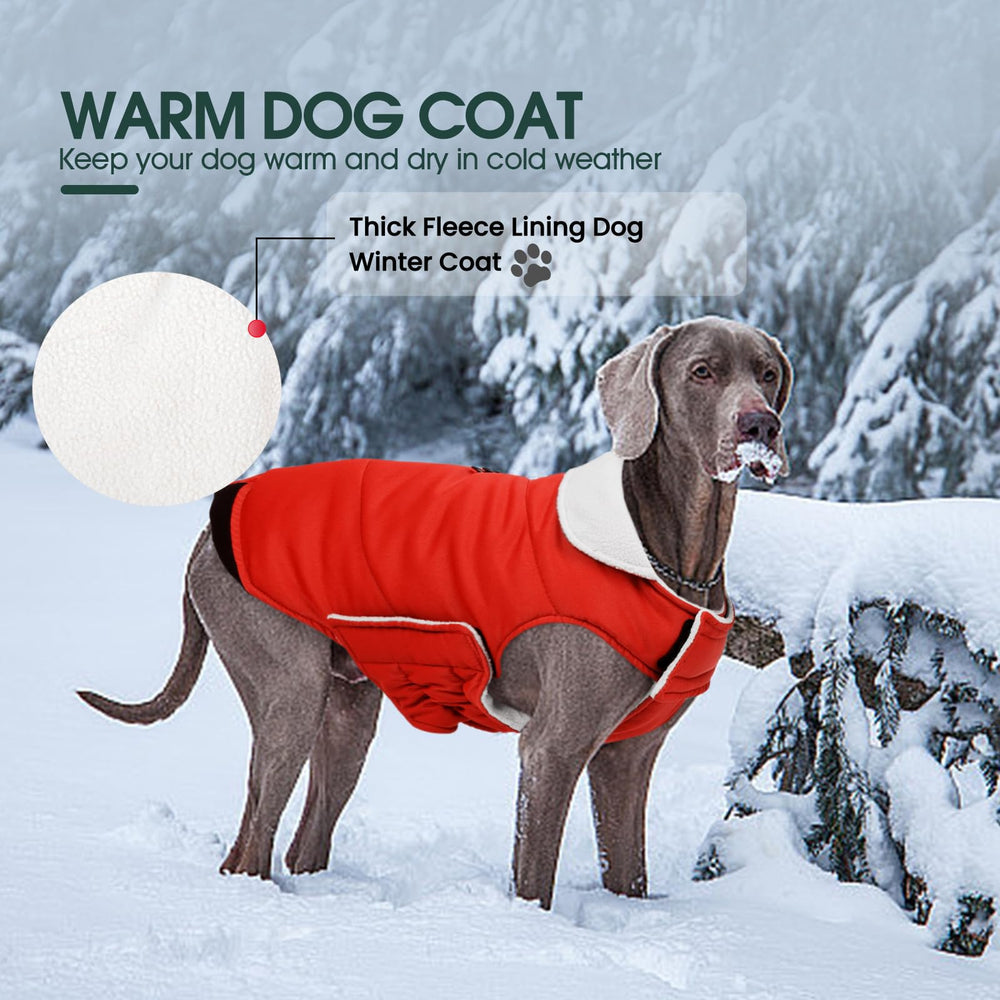 Manteau Kuoser rouge élégant pour promenades quotidiennes.