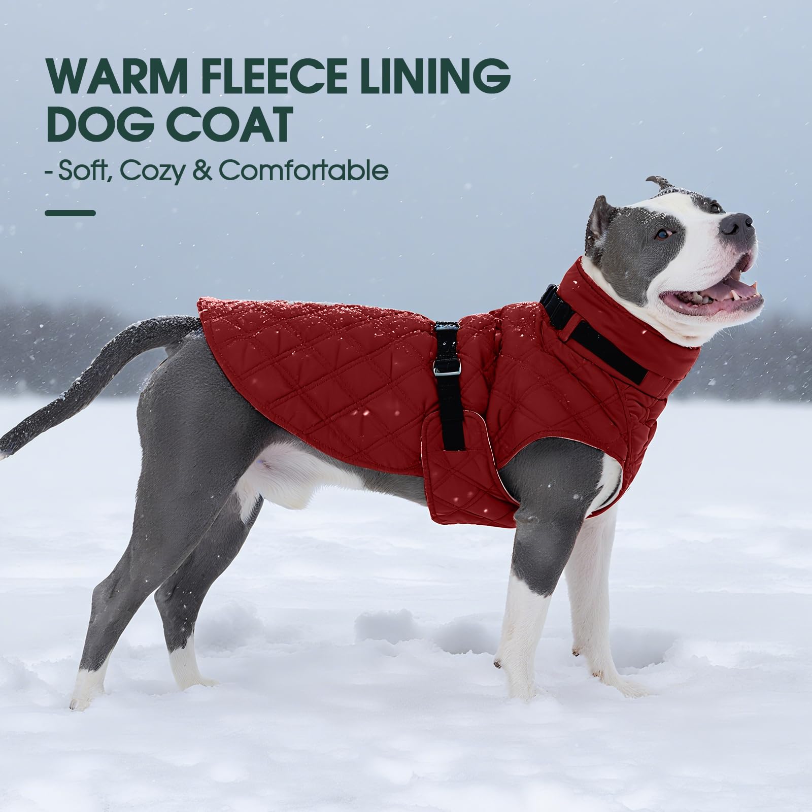 Kuoser manteau chien imperméable et neige pour temps froid