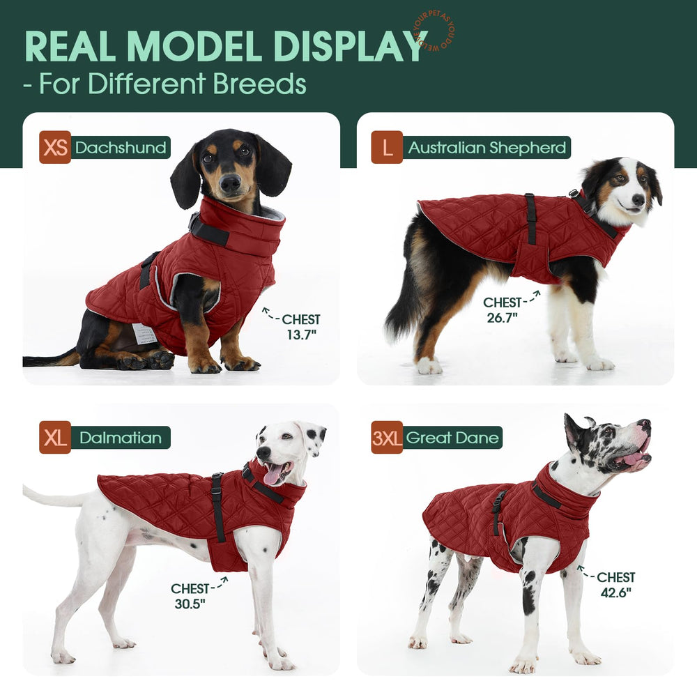 Kuoser manteau chien imperméable au vent pour temps froid