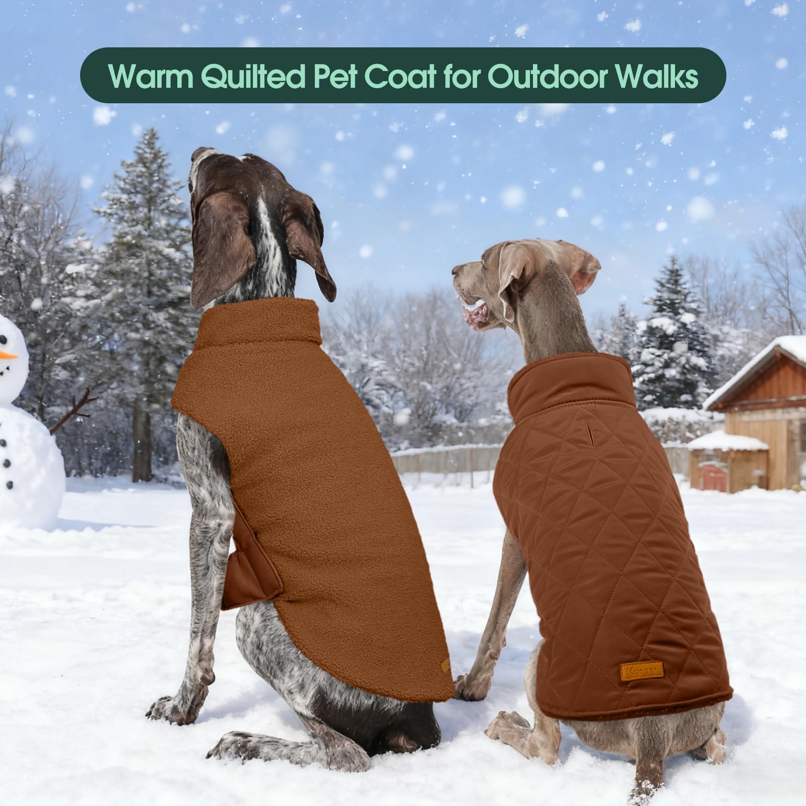 Kuoser manteau chien léger – idéal pour voyager et sortir.